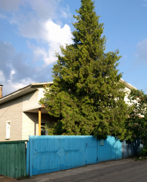 минская моленная